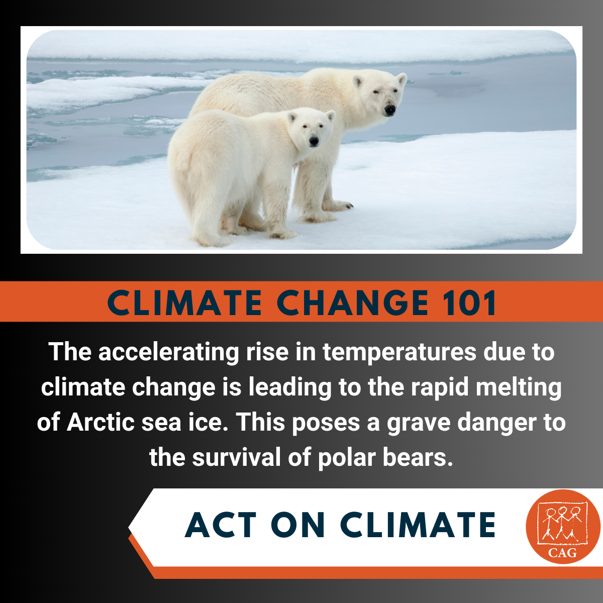climate change - Impact on Artic sea ice | Climate Connection